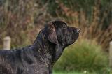 FILA BRASILEIRO 058